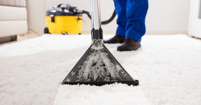 12 Best Vacuum Cleaners For Carpets